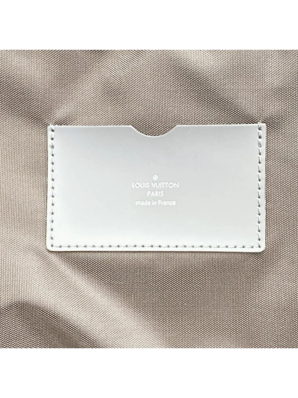 Louis Vuitton Taiga Travel Bag Pegase 55 Suitcase Gray - Picture 15 of 15